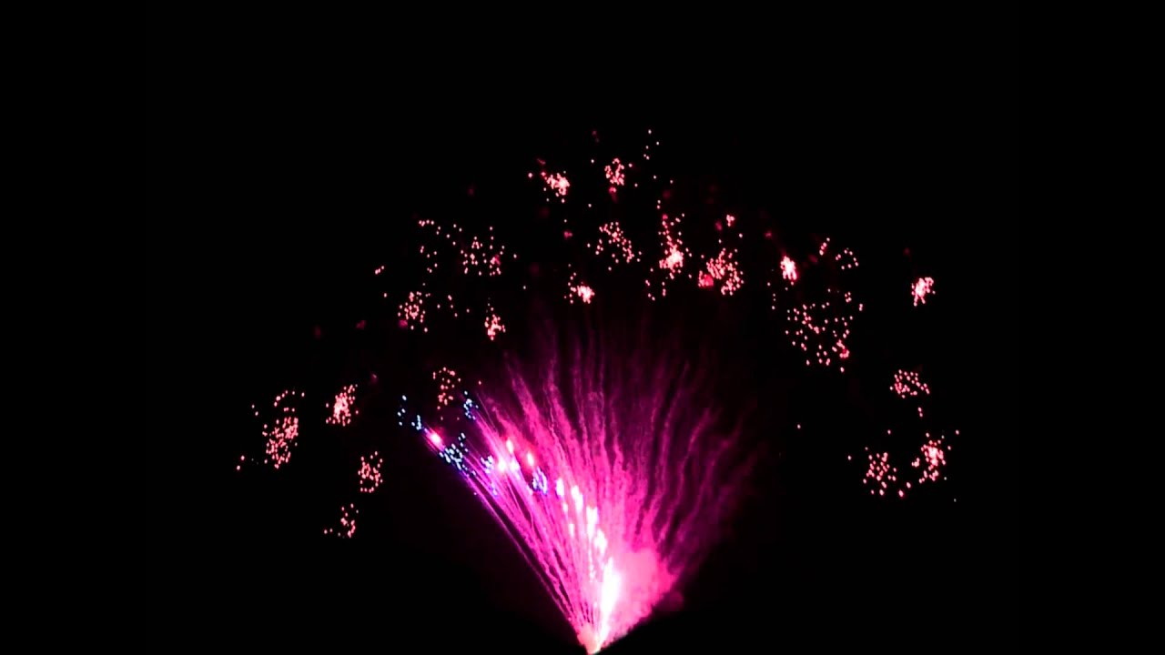 (CP134-120F) 120s Blue Boquet & Red Tail to Red Falling Leaves