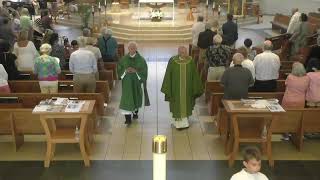 7/05/2026 11:00 AM Mass: Fourteenth Sunday in Ordinary Time