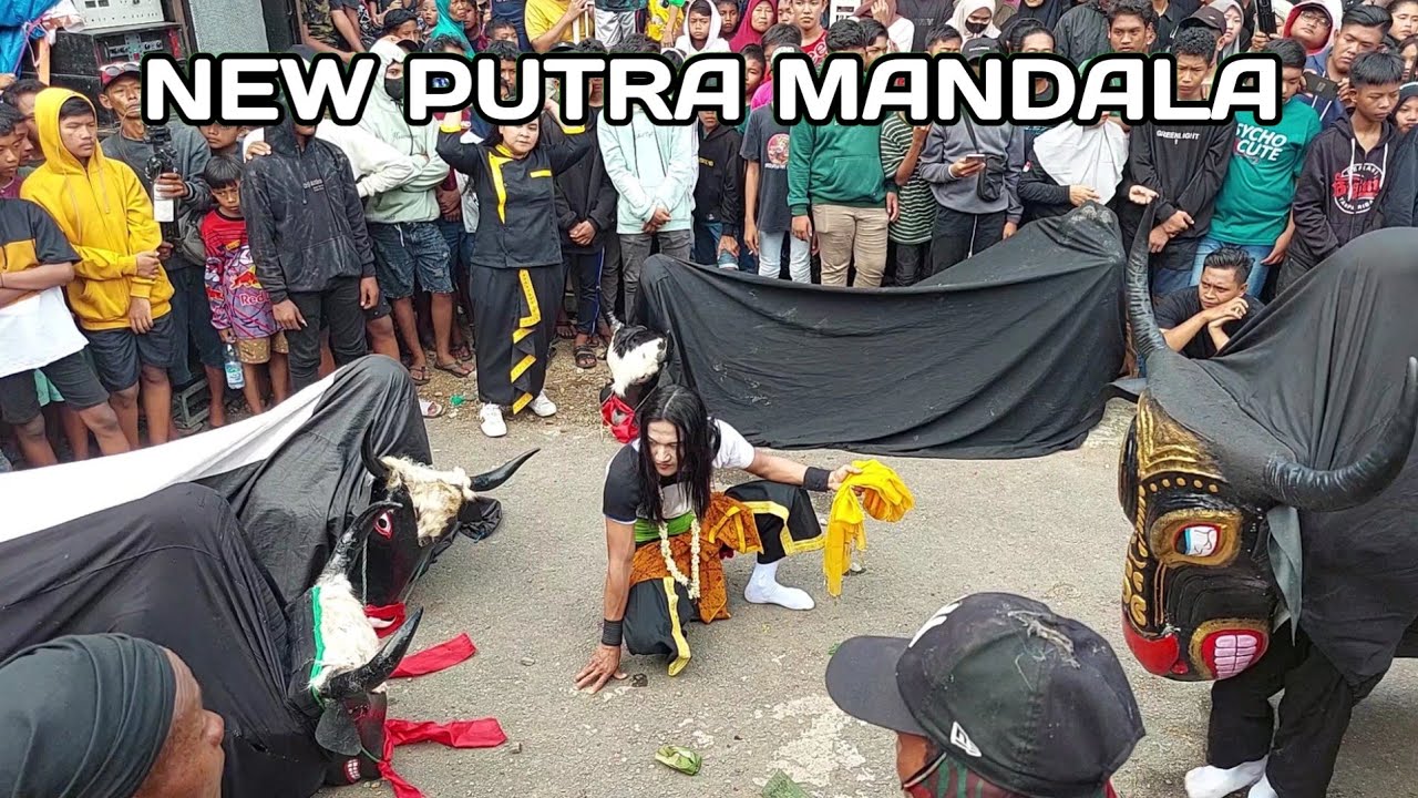 Bantengan Ngamuk New Putra Mandala || Gus Udin Sampai Menyerah hadapi banteng