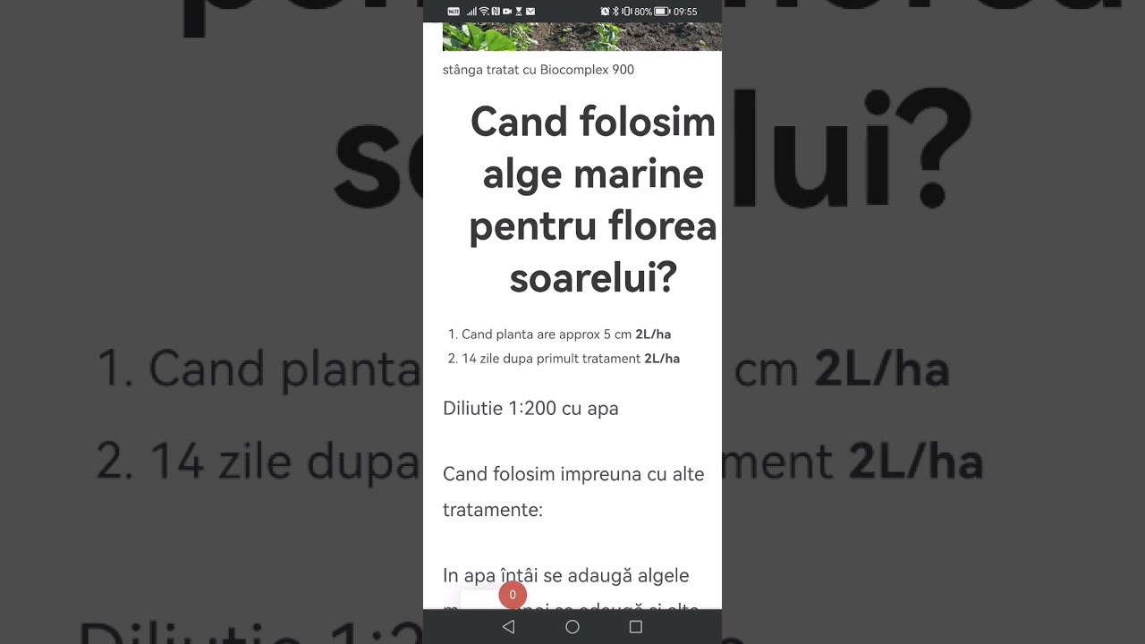 cand folosim alge marine pentru Florea Soarelui? mode de utilizare alge marine