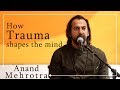 How trauma shapes the mind  anand mehrotra