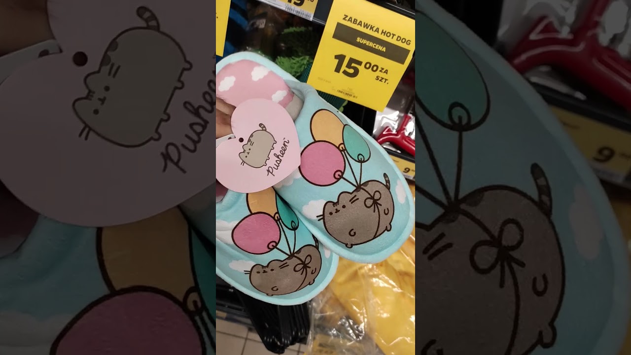 Pusheen Flip-Flops 😊