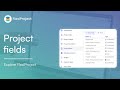 How do project fields work in the FlexiProject software?