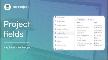 How do project fields work in the FlexiProject software?