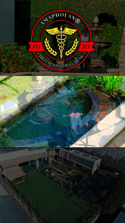 AMAPHOLAS SESSIONS 09 WITH ZANI SET TO DROP WEDNESDAY 09/07/2025