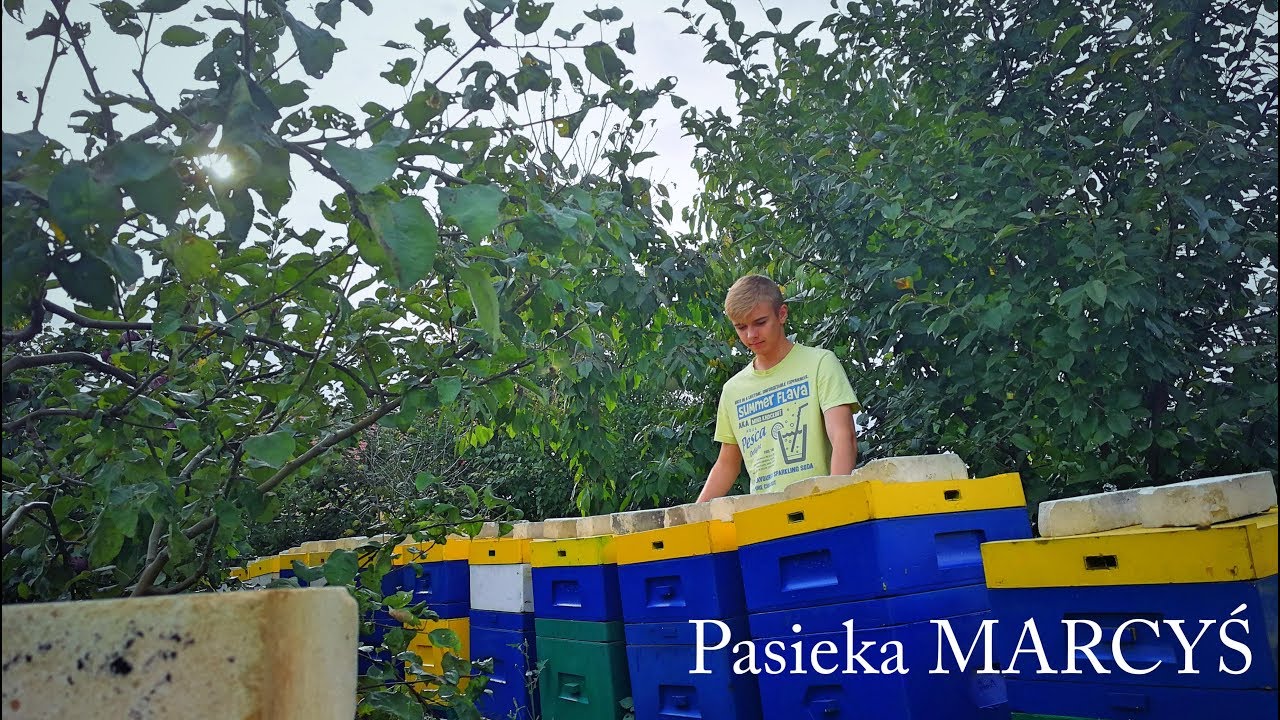 Ostatni przegląd jesienny.