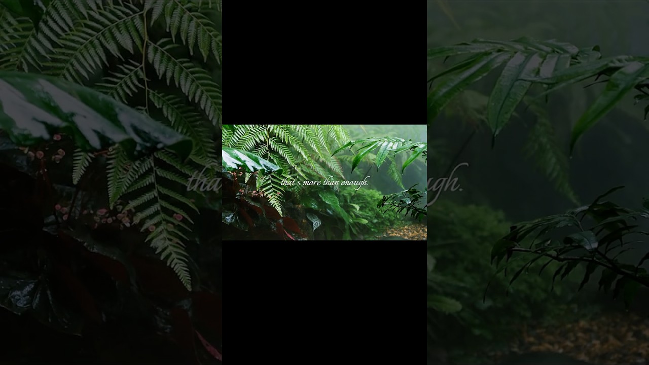 Gentle Motivation for Slow Days   