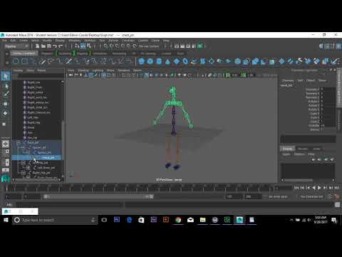 Scripted Rig Demo