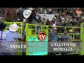 EL GALLITO VS TORO EL SNIKER 26 DE NOVIEMBRE 2017