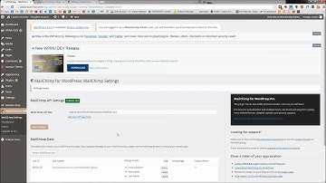 How to create a MailChimp signup form on your Wordpress Website