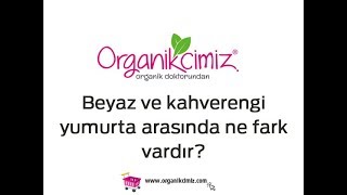 2- Beyaz Ve Kahverengi Yumurta Arasında Ne Fark Vardır?