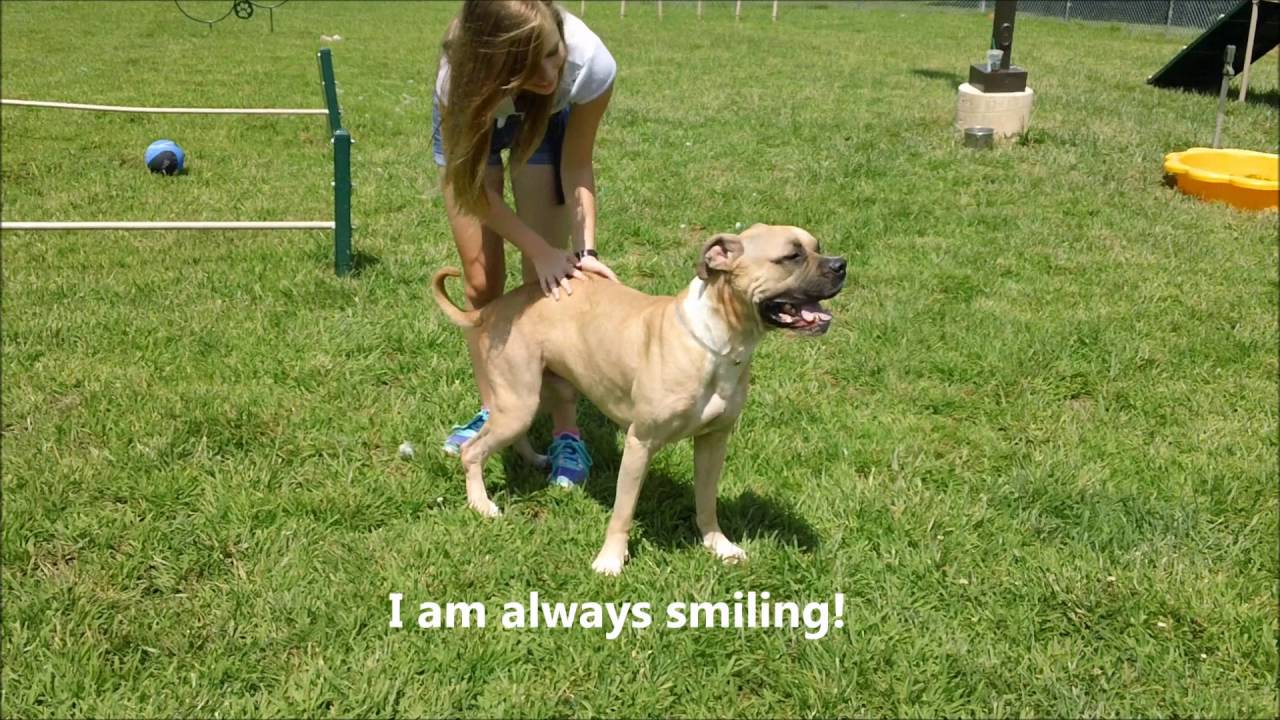 citycell HI! I'm Mister