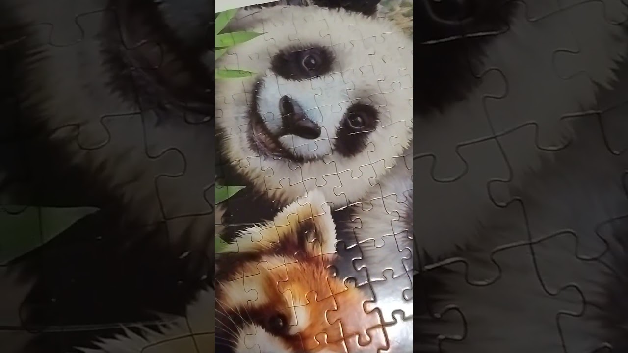 Arrow Selfie Panda Parade 300pc