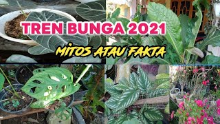 Jenis dan harga bunga yang tren 2021 #rdc