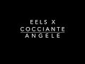 Angle  eels x richard cocciante karaoke