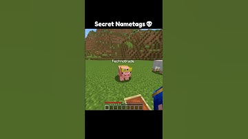 Minecraft Secret Nametags 🤯