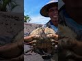 Stunning Skills Conquering Mud Crab Monsters