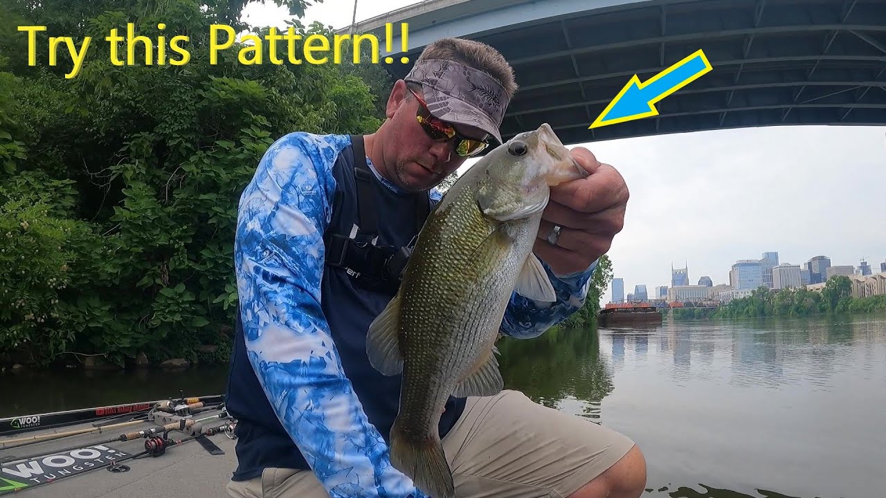 Nashville Suspended Bass Fishing During Summer. do this to catch bass in the summer!! Nashville Suspended Bass Fishing During Summer. do this to catch bass in the summer!!