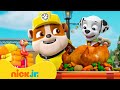 Rubble e a Patrulha Canina: resgates de Ação de Graças! | 1 hora | Nick Jr. em Português