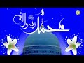 حالات واتساب نغمة مولد محمد رسول الله 