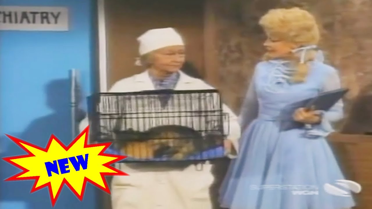 The Beverly Hillbillies Season 7 Full Episodes 🎁 Episode 21 + 22 🎁