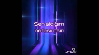 Sen Canımsın Karaoke Metin Elden Resimi