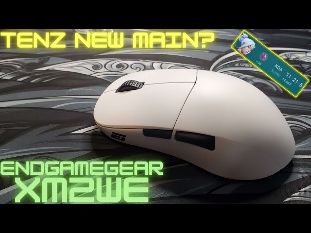 Endgame Gear XM2we Mouse Review