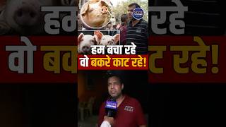 Religious practices animal debate | Social discussion animal treatment #shorts