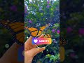 😱wow animal