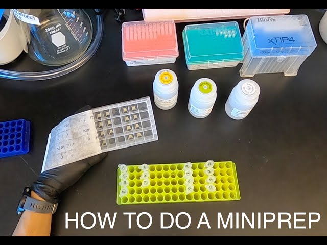 Assembling the Mini Prep System 