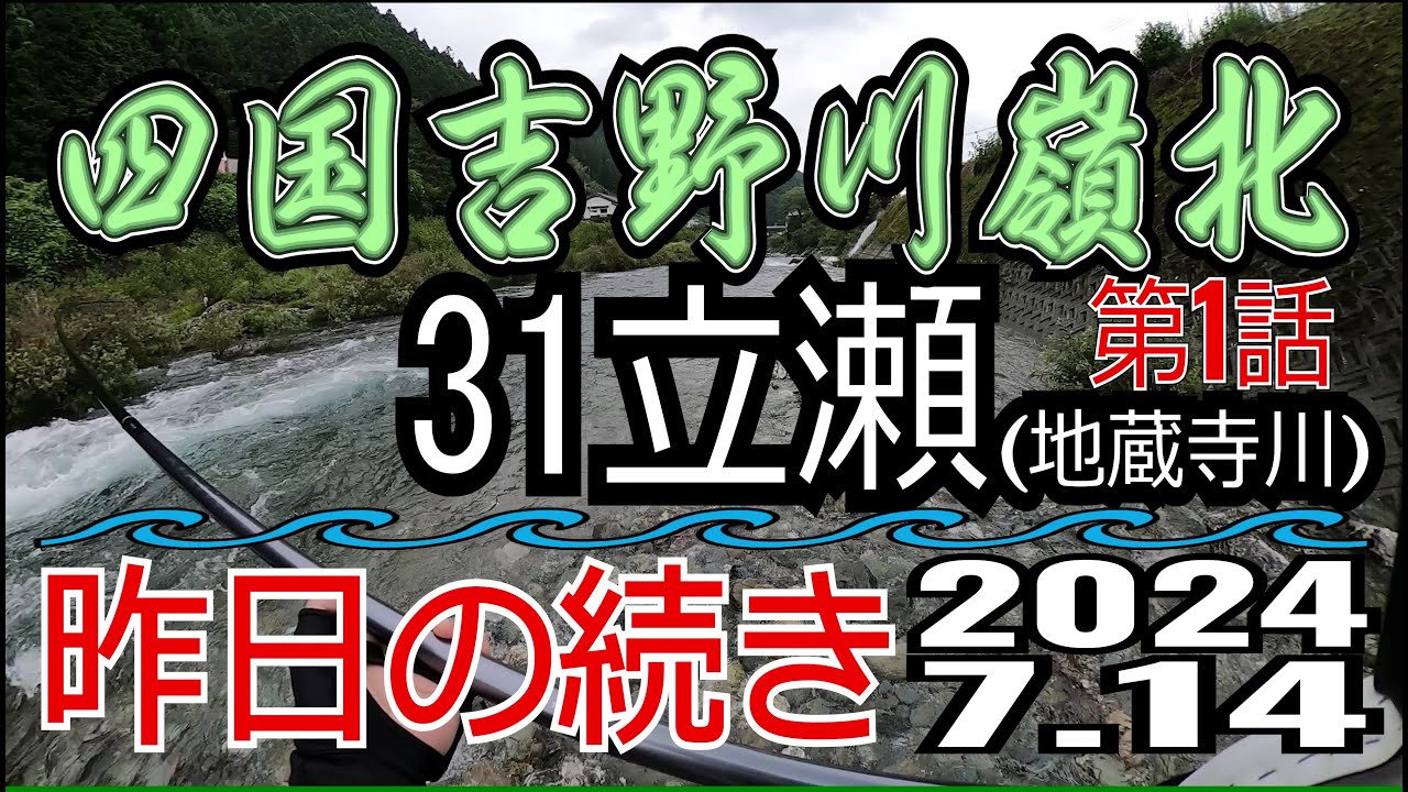 アユの友釣り 四国吉野川(高知県) 地蔵寺川 2024.7.14 第1話
