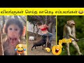 2025's Hilarious New Animal Comedy Moments ЁЯдг | Part 2