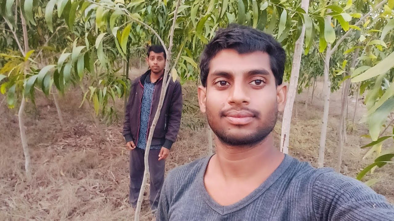 Aaj Ham Forest Ghumne Aaye Hai.