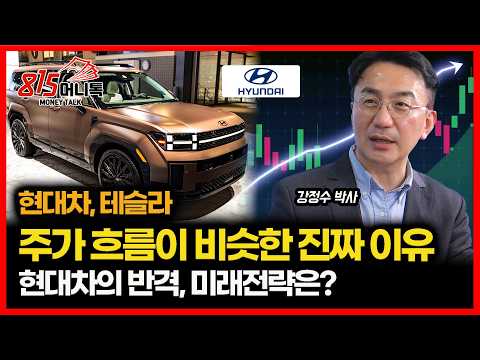 테슬라 따라가는 현대차?  주가 흐름이 왜 비슷할까? / 현대차의 로봇 반격이 시작된다ㅣ블루닷AI 연구센터 소장 강정수 박사