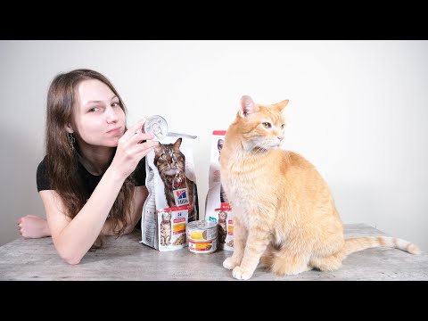 Hill's Science Diet Cat Food Review