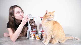 Hill's Science Diet Cat Food Review (We Tested It)