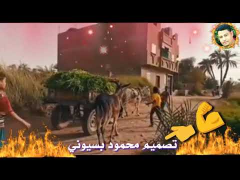 أحمد شيبه أغنيه في الصعيد