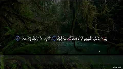 Surah Qaaf Imam Faysal II سورة ق امام فيصل