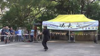 香港功夫表演201611063
