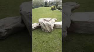 20190416 110408