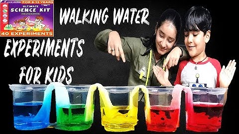 Ultimate Science kit Experiments | Einstein Box | Science Experiments for kids | Little Scientist