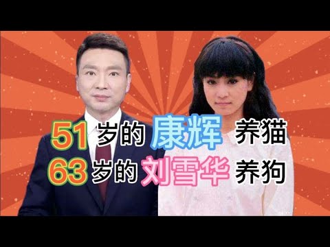 康辉养猫，刘雪华养狗，年轻时没生孩子，终到晚年成遗憾？