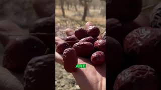 One of the most lucrative jobs in the world#food #fruit #job