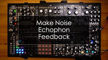 Make Noise Echophon Feedback | Shared System