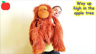 Way up high in the apple tree - Knee bouncing rhyme | Nursery rhymes & kids songs to sing along