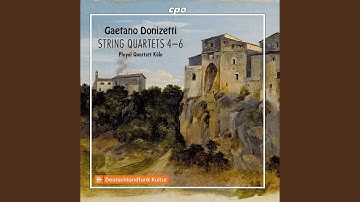 String Quartet No. 5 in E Minor, A. 469: III. Minuetto. Presto