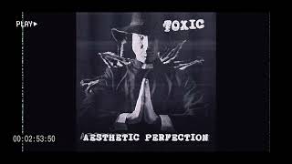 Watch Aesthetic Perfection Toxic video
