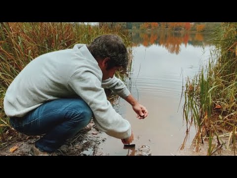 Panevėžys: kaip fotografijoje panaudoti liną, varškę, krakmolą?