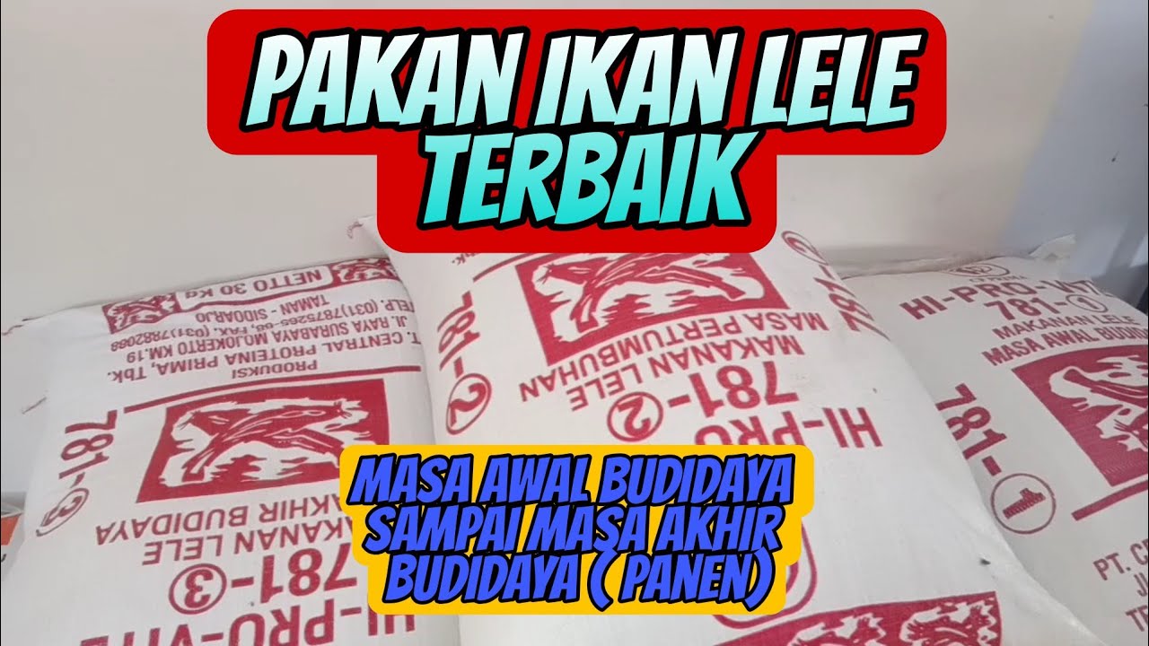 Update Harga Pakan Ikan lele ( HI -PRO -VITE 781-1-2-3
