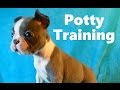 How To Potty Train A Frenchton Puppy - Frenchton House Training - Housebreaking Frenchton Puppies How To Potty Train A Frenchton Puppy - Frenchton House Training - Housebreaking Frenchton Puppies